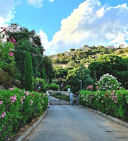 Entrée